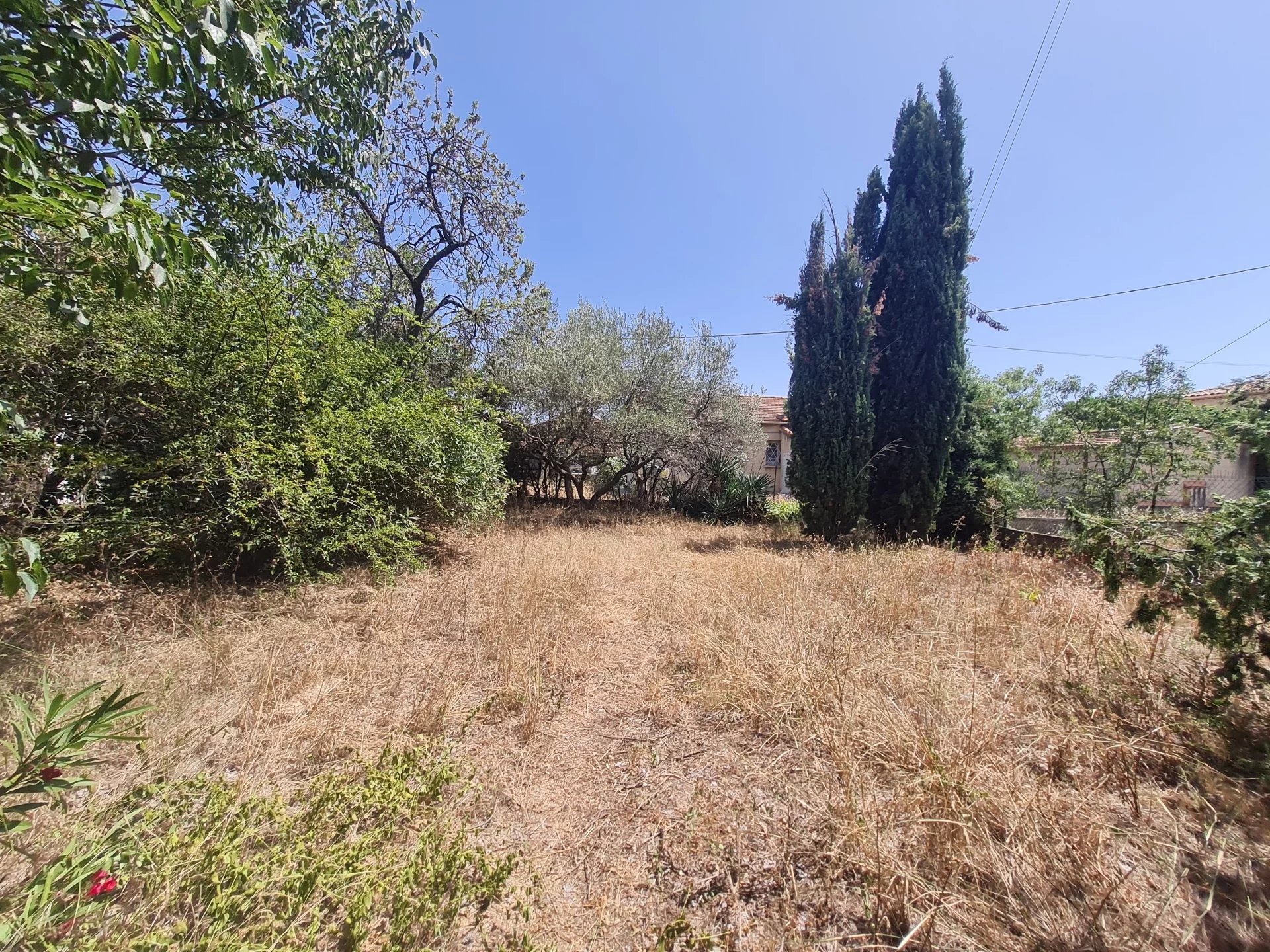 c384d05202f862089c2e200e13710930_3220a6e7b9_1920-original-27151
